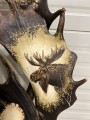 IMG_6502.jpeg