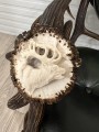IMG_6509.jpeg