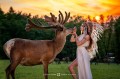 sesja_z_jeleniami_szlachetnymi_zielony_kadr_marta_pietrzyk_05 (1).jpg