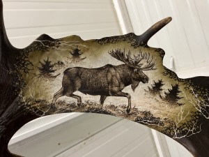 Grawerunek w łopacie daniela - Łoś