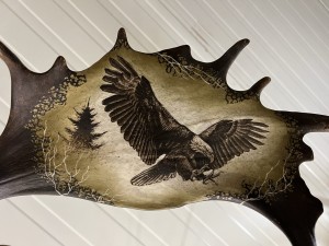 Grawer w łopacie daniela - Orzeł 