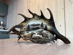 Grawerunek w łopacie daniela - Łoś byk i klępa