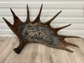 IMG_7598 (1).JPEG