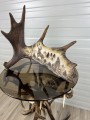IMG_7033.JPEG