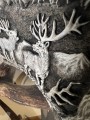IMG_7142.JPEG