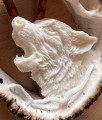 IMG_7704.JPEG