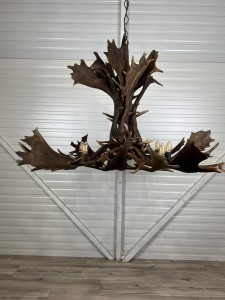 Żyrandol z poroża łopat daniela na 8 żarówek  | Rustykalny żyrandol z prawdziwego poroża daniela – duży żyrandol myśliwski