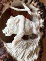 IMG_0091.JPEG