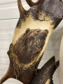 IMG_6533 (1).JPEG