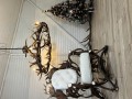 IMG_6505.JPEG